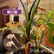 ヒメ日記 2026/01/21 00:42 投稿 椿 優子 昼妻夜 滋賀店