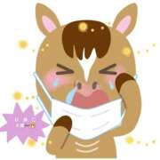 ヒメ日記 2026/03/03 10:03 投稿 椿 優子 昼妻夜 滋賀店