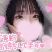 ヒメ日記 2026/02/14 12:36 投稿 さえ スピードエコ梅田店