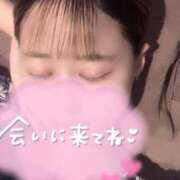 ヒメ日記 2025/12/17 02:56 投稿 ユメピリカ ハンドリング　亀頭責め専門店