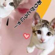 ヒメ日記 2025/12/25 21:01 投稿 ユメピリカ ハンドリング　亀頭責め専門店