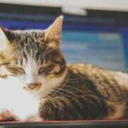 ヒメ日記 2025/11/01 18:03 投稿 ゆりあ MIKADO