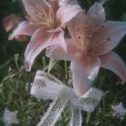 ヒメ日記 2025/11/09 12:27 投稿 セラ スピード日本橋店