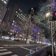 ヒメ日記 2025/11/19 18:07 投稿 セラ スピード日本橋店