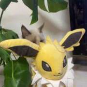 ヒメ日記 2025/11/02 12:59 投稿 ちさと デザインプリズム新宿