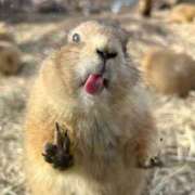 ユイ 新オプション解禁のお知らせ👀⚠️ ロボットデリヘル川越基地