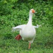 ヒメ日記 2026/03/01 22:46 投稿 ユイ ロボットデリヘル