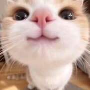 ヒメ日記 2026/03/22 13:46 投稿 ユイ ロボットデリヘル