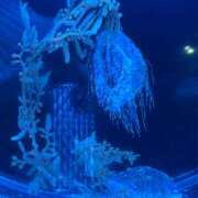 ヒメ日記 2025/10/31 15:01 投稿 サナエ きらめけ！にゃんにゃん学園in大宮