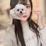 ヒメ日記 2025/11/05 11:35 投稿 のあ★前田敦子似の清純派美女★ Chloe鶯谷・上野店 S級素人清楚系デリヘル