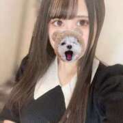 ヒメ日記 2025/11/10 10:36 投稿 のあ★前田敦子似の清純派美女★ Chloe鶯谷・上野店 S級素人清楚系デリヘル