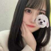 ヒメ日記 2025/12/09 02:18 投稿 のあ★前田敦子似の清純派美女★ Chloe鶯谷・上野店 S級素人清楚系デリヘル