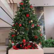 ヒメ日記 2025/12/19 19:12 投稿 もも 奥様メモリアル