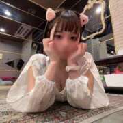 ヒメ日記 2026/03/12 00:02 投稿 にな ジャパンクラブ富士