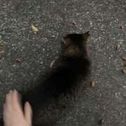 ヒメ日記 2025/11/03 10:27 投稿 いつき 横浜Cute