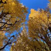 ヒメ日記 2026/01/01 13:43 投稿 いつき 横浜Cute