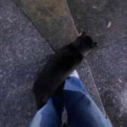 ヒメ日記 2026/01/22 17:37 投稿 いつき 横浜Cute