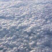 いつき お休み 横浜Cute