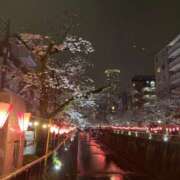 ヒメ日記 2026/03/26 22:46 投稿 いつき 横浜Cute