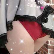 ヒメ日記 2025/11/17 13:15 投稿 白雪えみ メイドin中野（東京ハレ系）