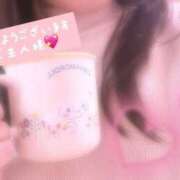 ヒメ日記 2025/11/23 09:49 投稿 白雪えみ メイドin中野（東京ハレ系）