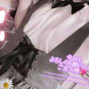 ヒメ日記 2025/11/24 17:46 投稿 白雪えみ メイドin中野（東京ハレ系）