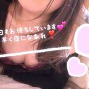 ヒメ日記 2026/01/30 08:02 投稿 白雪えみ メイドin中野（東京ハレ系）