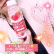 ヒメ日記 2026/04/09 07:31 投稿 白雪えみ メイドin中野（東京ハレ系）