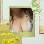 ヒメ日記 2025/11/09 22:01 投稿 華山はるか奥様 サンキュー沼津店（サンキューグループ）