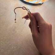 ヒメ日記 2025/11/28 16:46 投稿 ゆうなぎ イクイクサークル鶯谷店