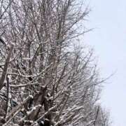 ヒメ日記 2026/02/08 12:05 投稿 ゆうなぎ イクイクサークル鶯谷店