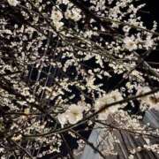 ヒメ日記 2026/02/20 23:38 投稿 ゆうなぎ イクイクサークル鶯谷店