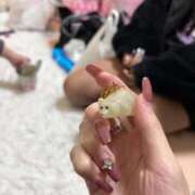 ヒメ日記 2026/03/17 16:56 投稿 ゆうなぎ イクイクサークル鶯谷店