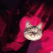 ヒメ日記 2026/04/27 12:36 投稿 ゆうなぎ イクイクサークル鶯谷店