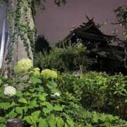 ヒメ日記 2026/07/11 12:26 投稿 ゆうなぎ イクイクサークル鶯谷店