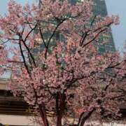 ヒメ日記 2026/03/30 23:56 投稿 ふたば 吉原ファーストレディ