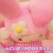 ヒメ日記 2026/08/24 04:26 投稿 ふたば 吉原ファーストレディ