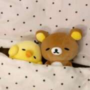 ふたば 9月は🐻💗 吉原ファーストレディ