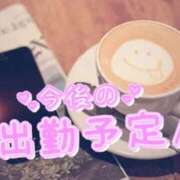 ヒメ日記 2025/12/24 15:06 投稿 早坂いずみ セレブ嬉野