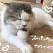 ヒメ日記 2026/02/22 16:07 投稿 さら 横浜回春性感マッサージ倶楽部