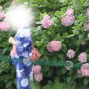 ヒメ日記 2026/07/24 07:05 投稿 潤佳-じゅんか- 人妻倶楽部 花椿大崎店