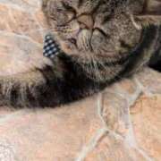 ヒメ日記 2025/11/06 18:50 投稿 りんこ 熟女の風俗最終章 蒲田店