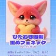 ヒメ日記 2026/01/09 16:04 投稿 このは JDリフレ