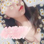 ひなの ひなの（奥様さくら京橋店） 奥さまさくら京橋店