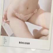 ヒメ日記 2025/12/14 18:42 投稿 ありす C.C.CATS