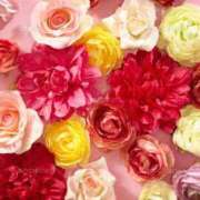 ヒメ日記 2025/11/06 09:56 投稿 ことり 丸妻 横浜本店