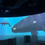 ヒメ日記 2026/02/20 21:03 投稿 ことり 丸妻 横浜本店