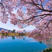 ヒメ日記 2026/03/25 21:51 投稿 ことり 丸妻 横浜本店