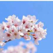 ヒメ日記 2026/05/11 14:54 投稿 ことり 丸妻 横浜本店