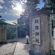 ヒメ日記 2025/12/09 00:39 投稿 あいる サンキュー厚木店